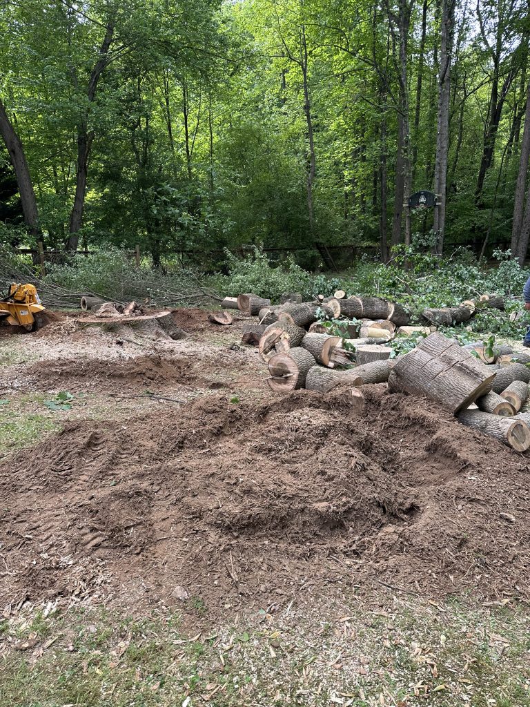 Licensed Tree Removal Garner NC