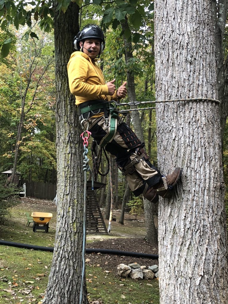 Tree removal Raleigh, Tree service Raleigh NC, Emergency tree removal Raleigh, Stump removal Raleigh, Tree cutting Raleigh.