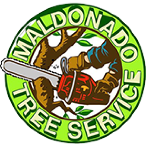 Licensed Tree Removal Raleigh